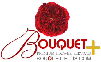 Bouquet Plus